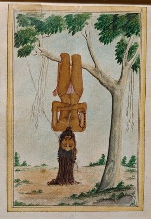 Yogi suspendu à une branche d'arbre